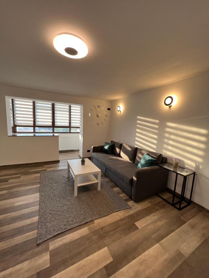 Sunny Luxury Home G. Enescu Suceava Eksteriør billede